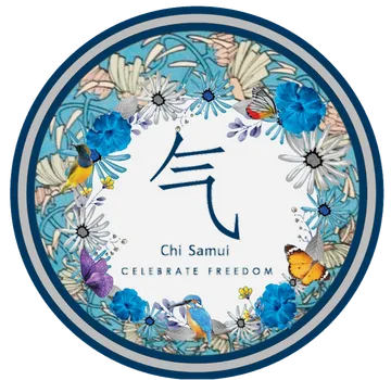 Chi Samui — The Residence