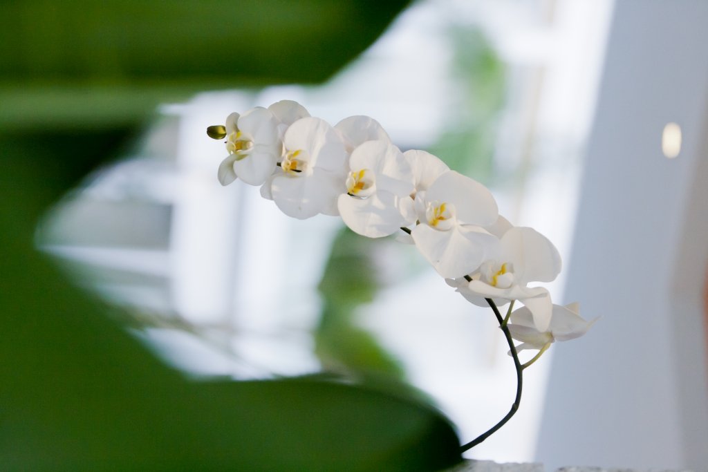 Lanna Hotel luxurious Spa Retreat on Koh Samui