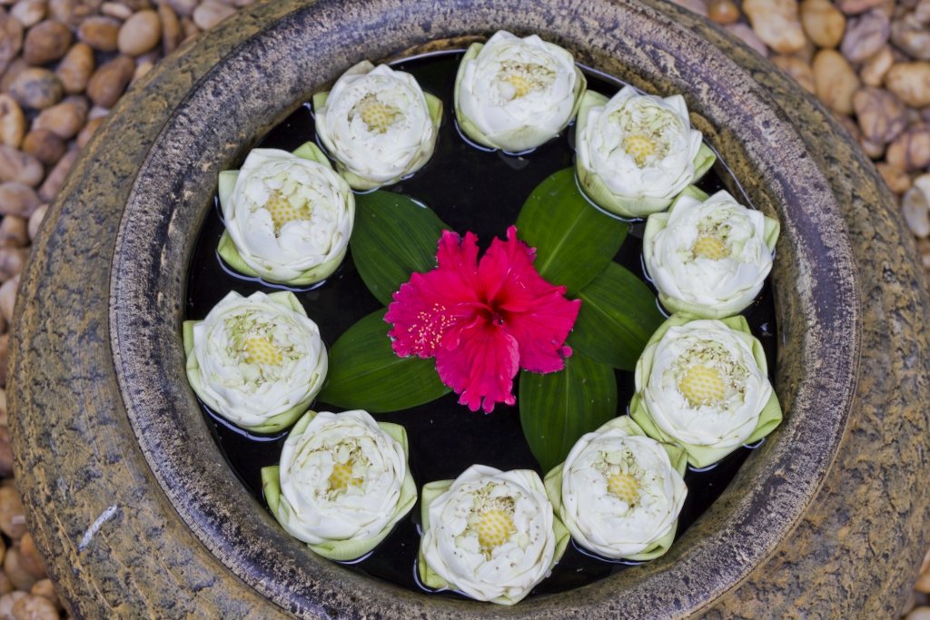 Lanna Hotel luxurious Spa Retreat on Koh Samui face treatment