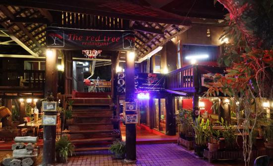 The Red Tree restaurant - Chiang Mai