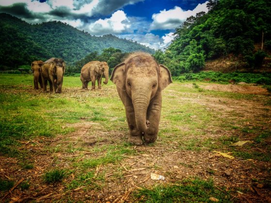 Chiang Mai mountain highlands Thailand