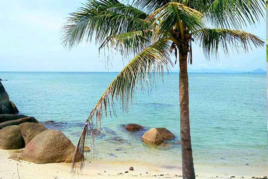 koh samuiです Koh Samui, Thailand 8K – Coconut Shores, Emerald Waters
